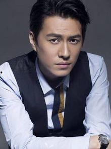 贺涵个人资料身高,优雅与智慧并存的职场精英