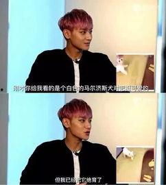 娱乐圈耿直青年