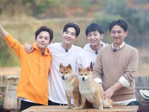 向往的生活演员表