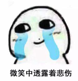 视美表情包,趣味横生的网络文化新宠