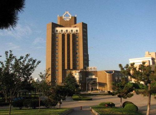 东金所背景,探索金融创新与风险管理的东方智慧之路