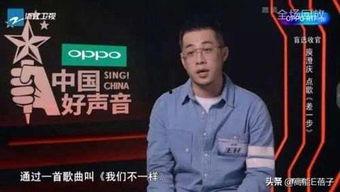 大壮 歌手 个人资料,音乐之路上的璀璨星光，歌手大壮个人资料揭秘