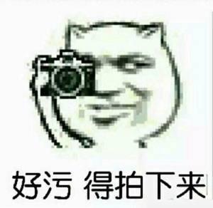 挑内衣表情包,趣味横生的内衣选购指南